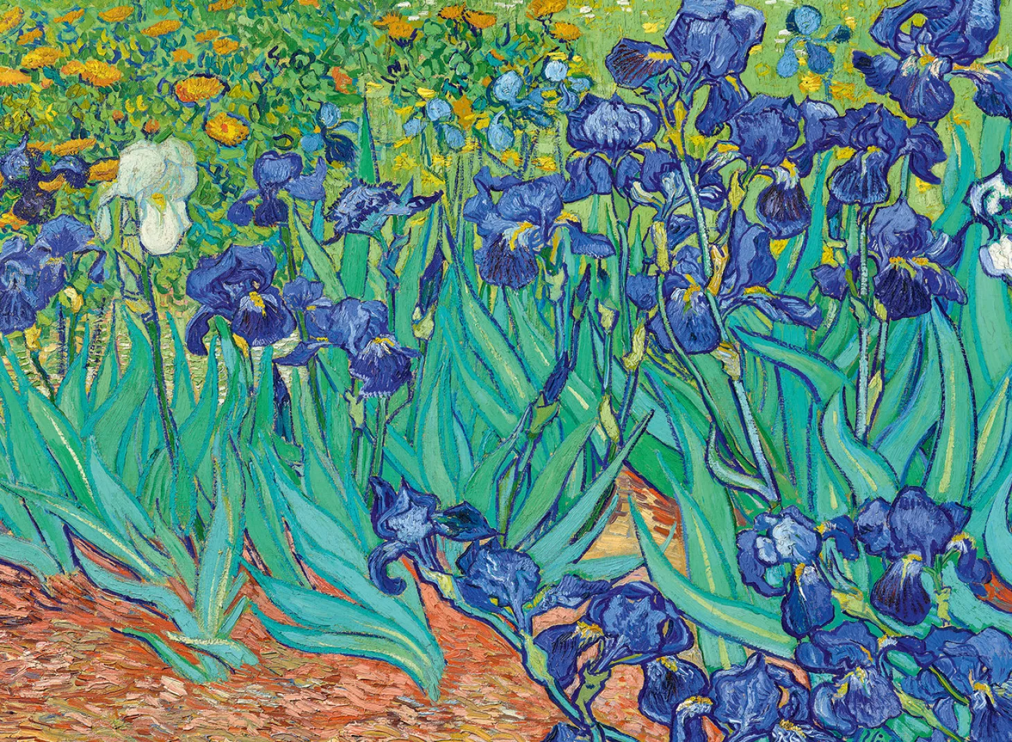 Bluebird Puzzle Vincent Van Gogh - Les Iris - puzzle de 3000 pièces