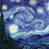 Bluebird Puzzle Vincent Van Gogh - Nuit étoilée - 1000 pièces