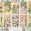 Cobble Hill Botaniques par Verneuil - puzzle de 1000 pièces