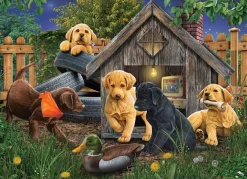 Cobble Hill Dans la Niche du Chien - puzzle de 1000 pièces