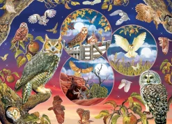 Cobble Hill Magie du hibou - puzzle de 1000 pièces