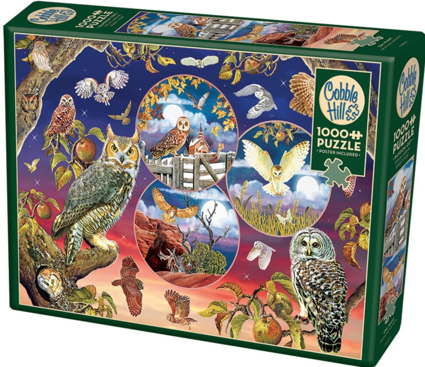 Cobble Hill Magie du hibou - puzzle de 1000 pièces