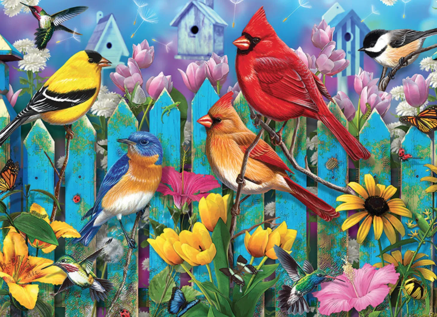 Cobble Hill Oiseaux sur la clôture - puzzle de 500 pièces XL