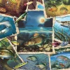 Cobble Hill Tous les poissons - puzzle de 1000 pièces