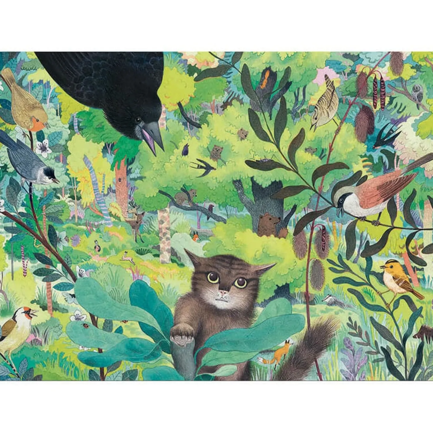 Djeco Hiboux et Oiseaux - puzzle de 1000 pièces - Panorama