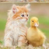 Educa Adorables amis - puzzle de 500 pièces