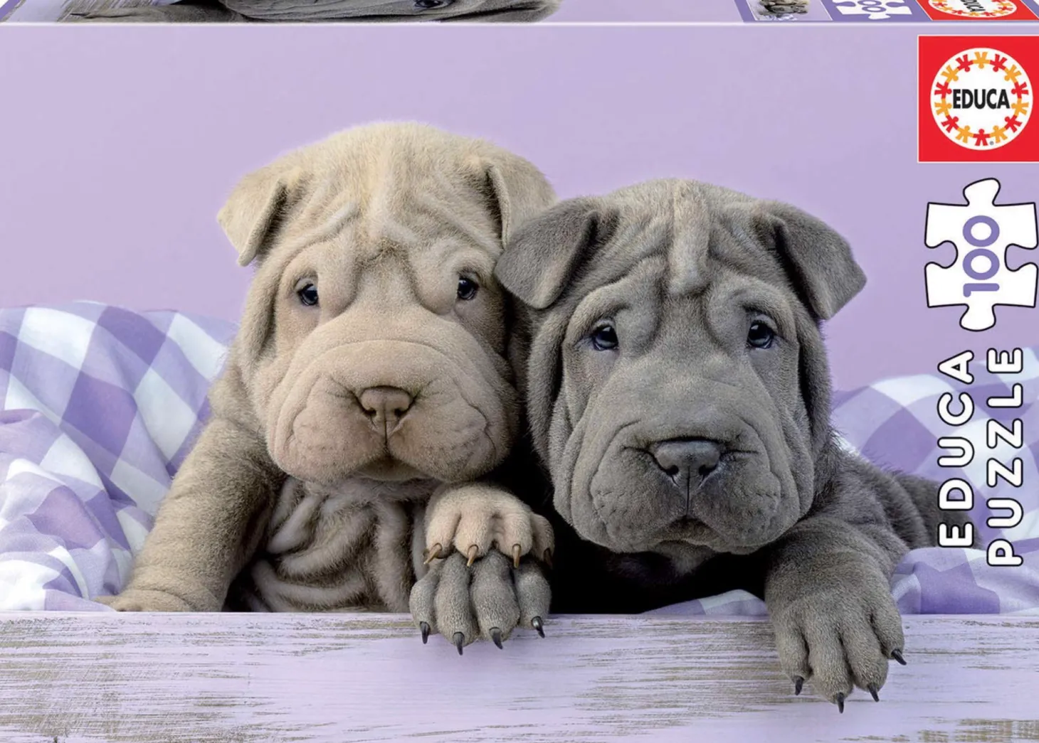 Educa Bonjour les chiens - puzzle de 100 pièces