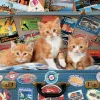 Educa Chatons en voyage - puzzle de 200 pieces