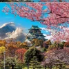 Educa Château d'Osaka - puzzle de 2000 pièces