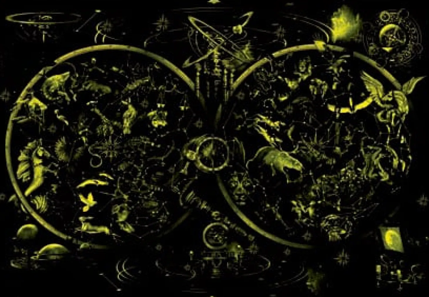 Educa Constellations - Glow in the Dark - puzzle 1000 pièces