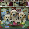 Educa Des chiots dans les bagages - puzzle de 500 pièces