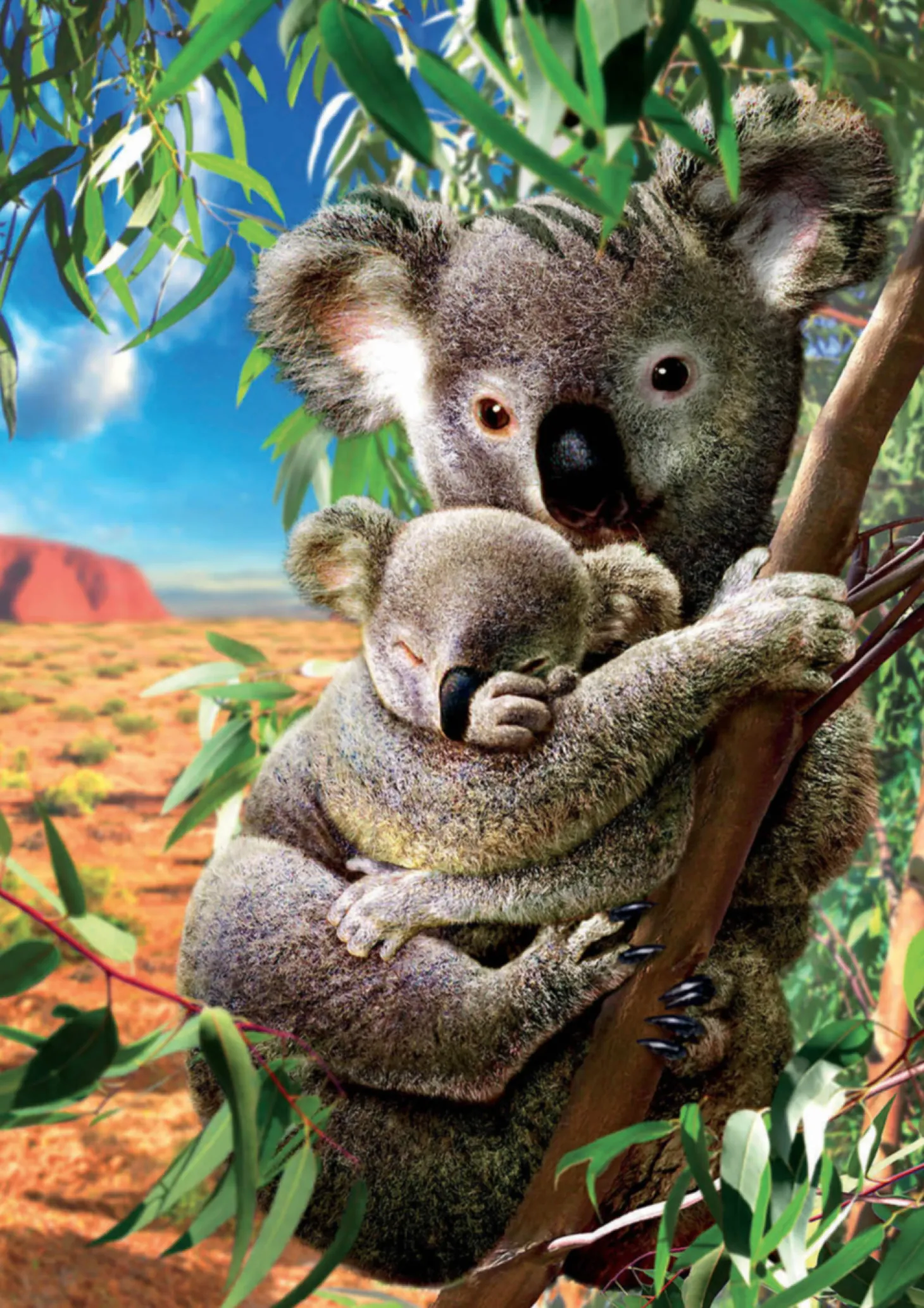 Educa Le Koala et son petit - puzzle de 500 pièces