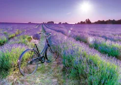 Educa Vélo dans un champ de lavande - puzzle de 1000 pièces