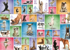 Eurographics Puzzles Yoga Dogs - Collage - puzzle de 1000 pièces