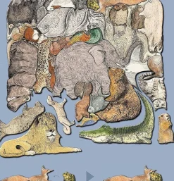 MeterMorphosen Puzzle animal - Une image de 33 animaux - F.K. Waechter - 33 pièces