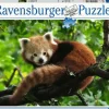 Ravensburger Adorable panda roux - puzzle de 500 pièces
