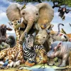 Ravensburger amis africains - 300 pièces XXL