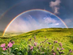 Ravensburger Arc-en-ciel Spectaculaire - puzzle de 1500 pièces
