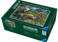 Ravensburger Au point d'eau - 18000 pièces