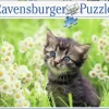 Ravensburger Chaton dans la prairie- puzzle de 500 pièces