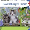 Ravensburger Chatons tigrés - 3 puzzles de 49 pièces