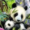 Ravensburger Cher Panda - 300 pièces XXL