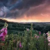 Ravensburger Dreamy Thunder - puzzle de 1000 pièces