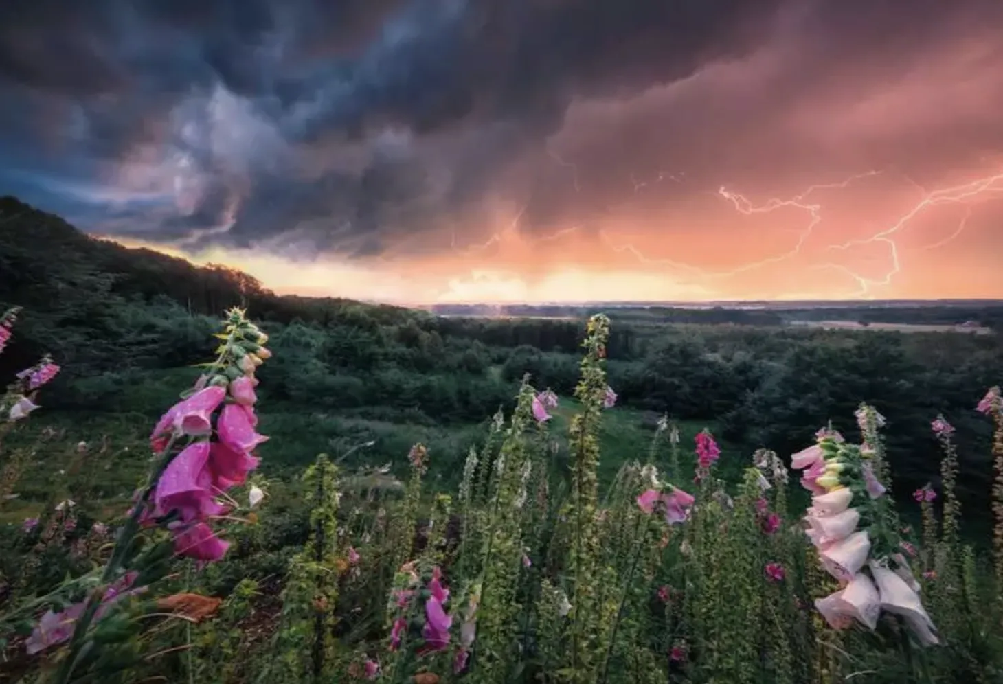 Ravensburger Dreamy Thunder - puzzle de 1000 pièces