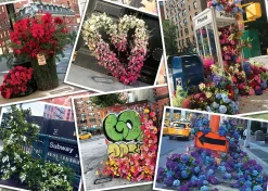 Ravensburger Exposition florale à New York - puzzle de 1000 pièces