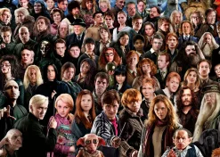 Ravensburger Harry Potter - Challenge - puzzle de 1000 pièces