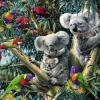 Ravensburger Koalas dans l'arbre - 500 pièces