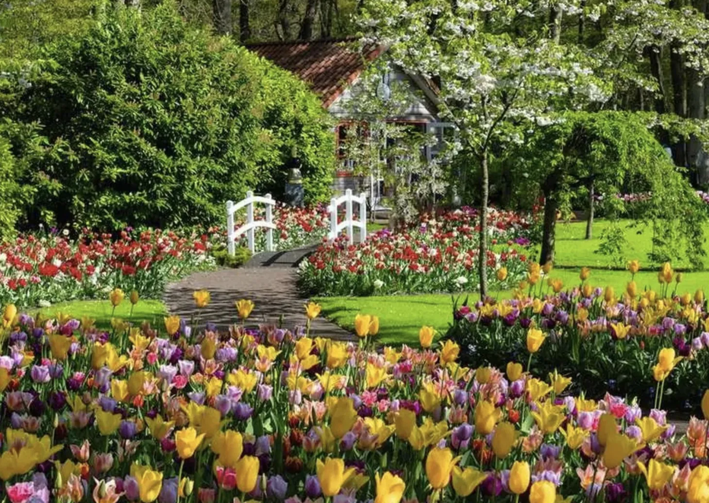 Ravensburger Parc floral de Keukenhof - Pays-Bas - puzzle de 1000 pièces