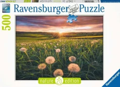 Ravensburger Pissenlits au soleil couchant - puzzle de 500 pièces