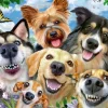 Ravensburger Selfie des animaux - puzzle de 500 pièces