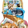 SUNSOUT Chatons gratuits - puzzle de 1000 pièces