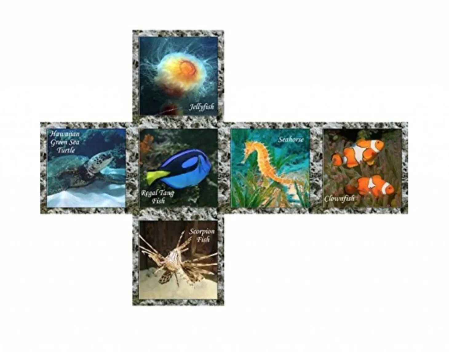 V-Cube V-2 Sea World - Cube